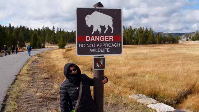 Im Yellowstone N.P.
